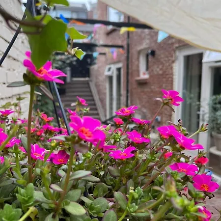 Apartman Der Zee Zandvoort