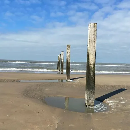 Der Zee Zandvoort