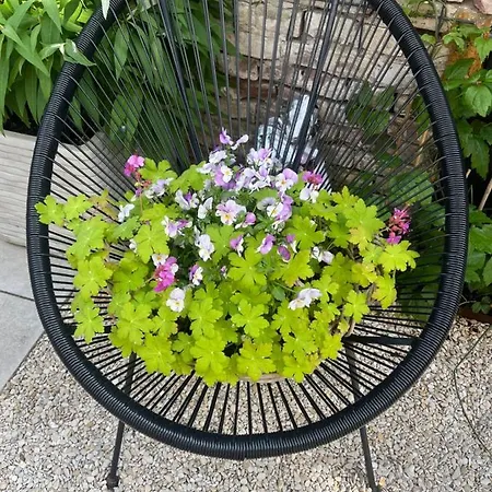 Appartement Der Zee Zandvoort