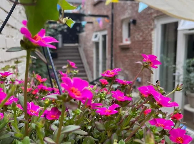 Apartman Der Zee Zandvoort