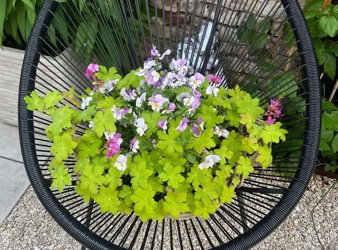 Apartman Der Zee Zandvoort